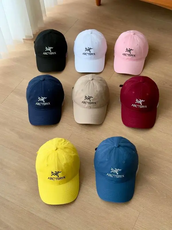 Arcteryx cap 041401